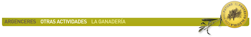 Barra de Argenceres-Ganaderia